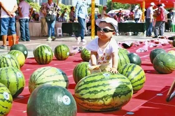 每日大赛吃瓜入口